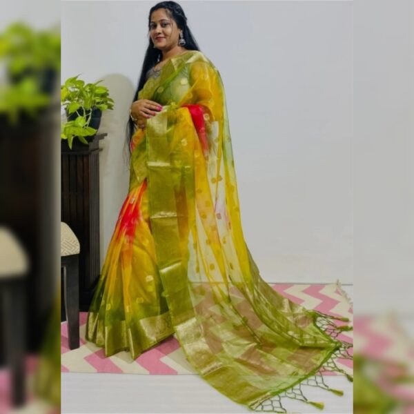 Ombre, Color Block, Dyed Organza Saree, Green